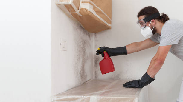 Professional Bathroom Mold Removal technician working in Lutz, FL