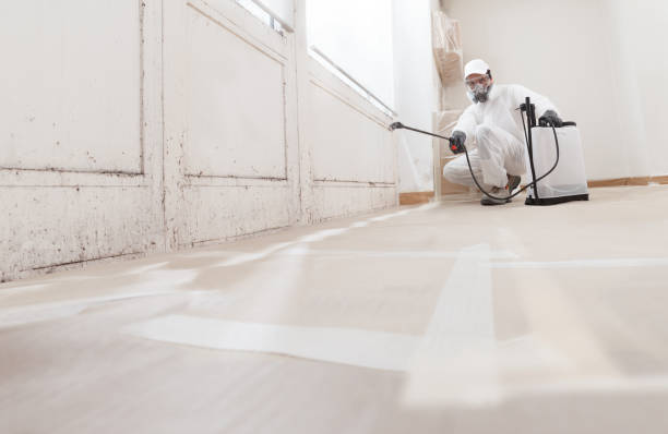 24/7 Emergency Bathroom Mold Removal experts in Lutz, FL